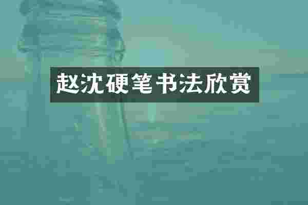赵沈硬笔书法欣赏