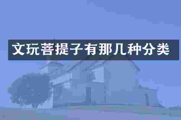 文玩菩提子有那几种分类