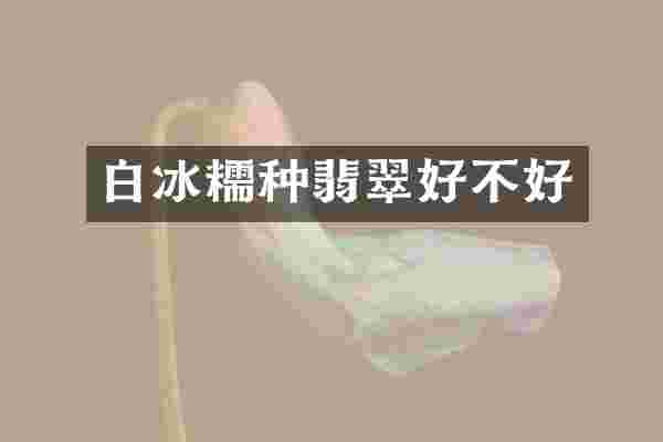 糯种翡翠好不好