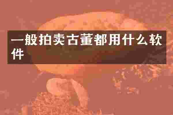 一般拍卖古董都用什么软件