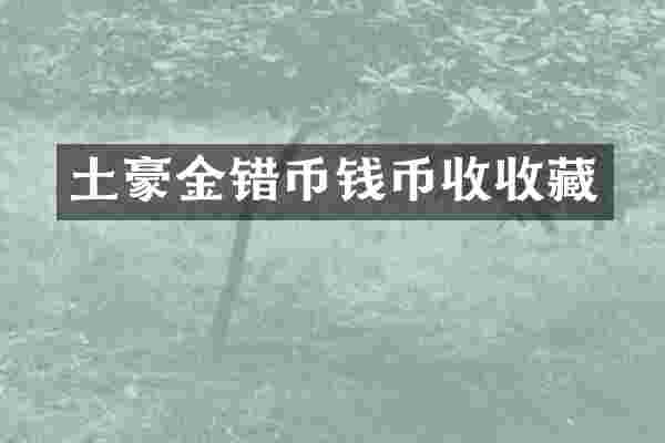 土豪金错币钱币收收藏