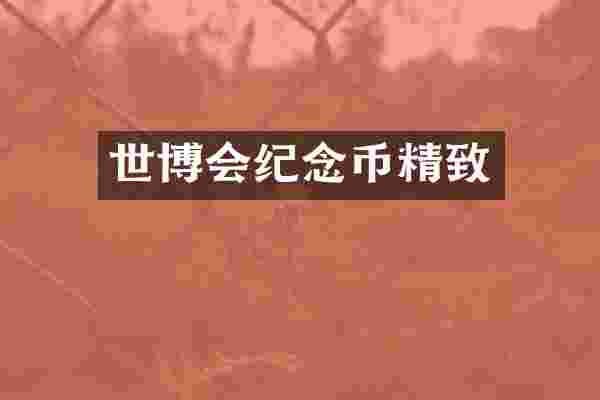 世博会纪念币精致