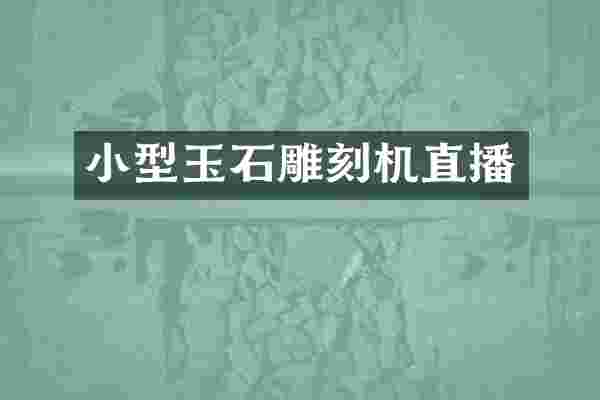 小型玉石雕刻机直播