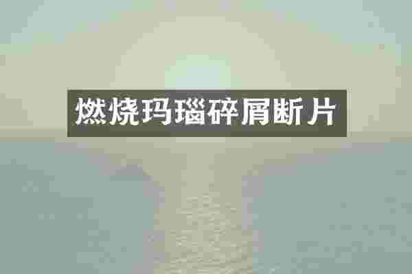 燃烧玛瑙碎屑断片