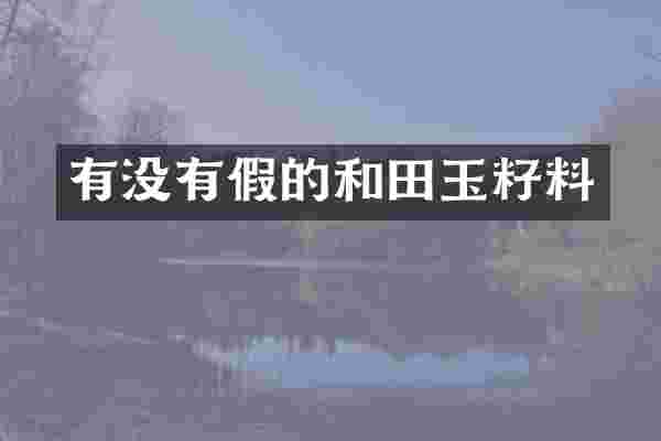 有没有假的和田玉籽料