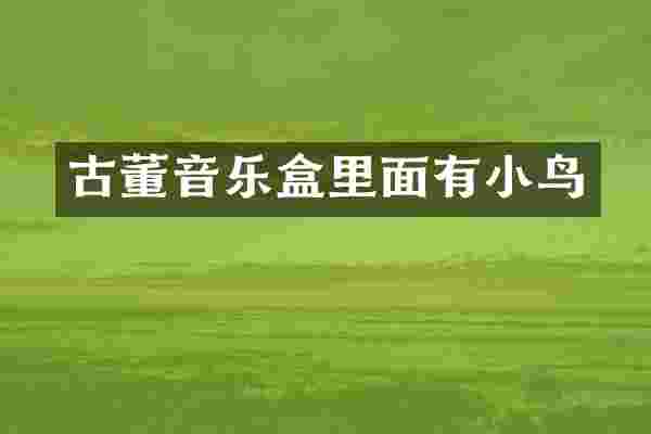 古董音乐盒里面有小鸟