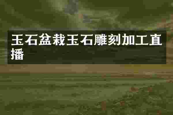 玉石盆栽玉石雕刻加工直播