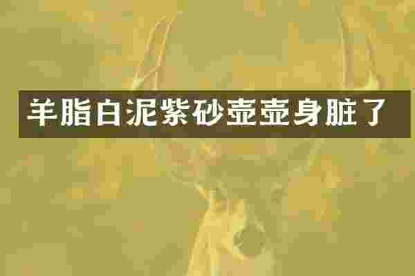 羊脂白泥紫砂壶壶身脏了