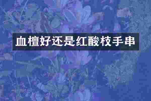 血檀好还是红酸枝手串