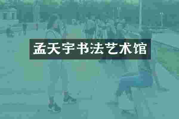 孟天宇书法艺术馆