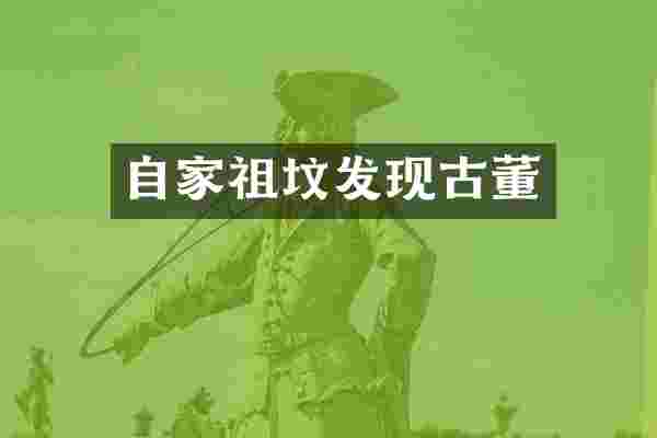 自家祖坟发现古董