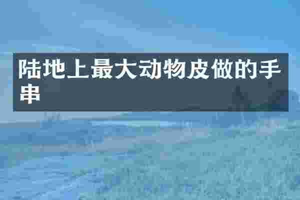 陆地上最大动物皮做的手串