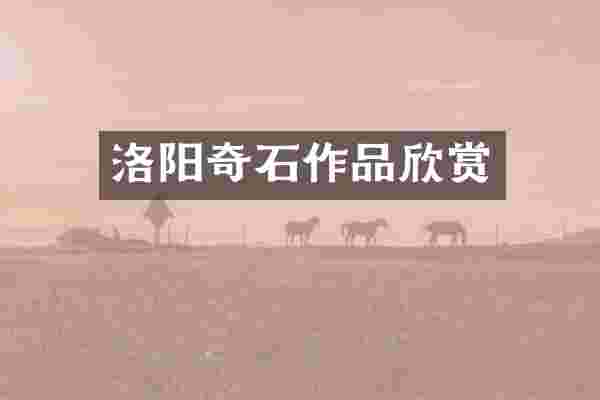 洛阳奇石作品欣赏
