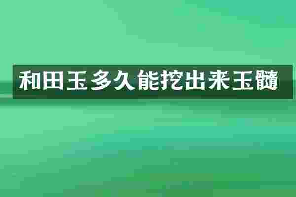 和田玉多久能挖出来玉髓