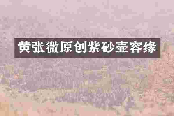 黄张微原创紫砂壶容缘