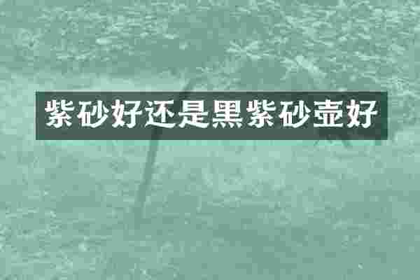 紫砂好还是黑紫砂壶好