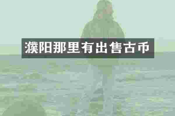 濮阳那里有出售古币