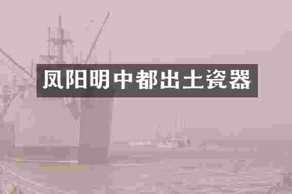 凤阳明中都出土瓷器