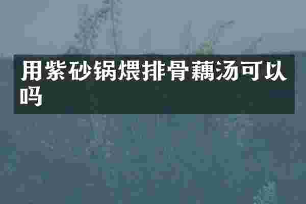 用紫砂锅煨排骨藕汤可以吗