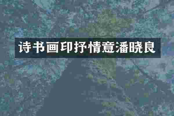 诗书画印抒情意潘晓良