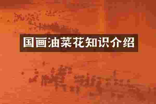 国画油菜花知识介绍