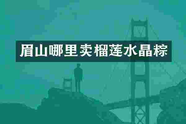 眉山哪里卖榴莲水晶粽
