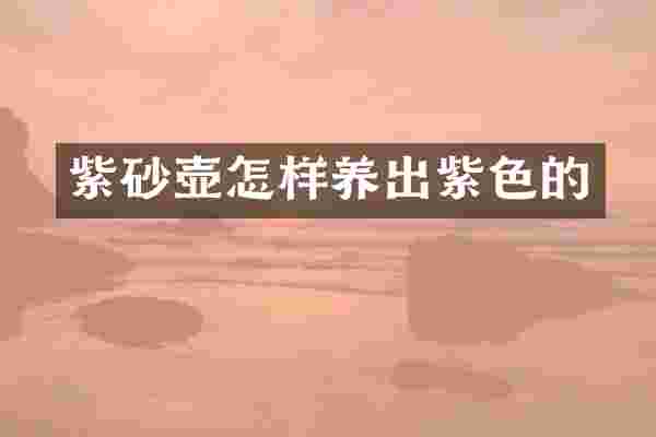 紫砂壶怎样养出紫色的