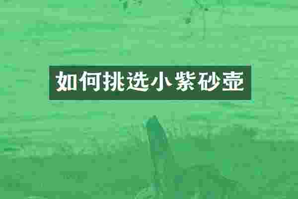 如何挑选小紫砂壶