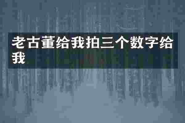 老古董给我拍三个数字给我