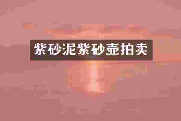 紫砂泥紫砂壶拍卖