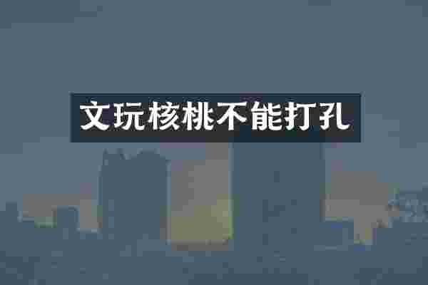 文玩核桃不能打孔