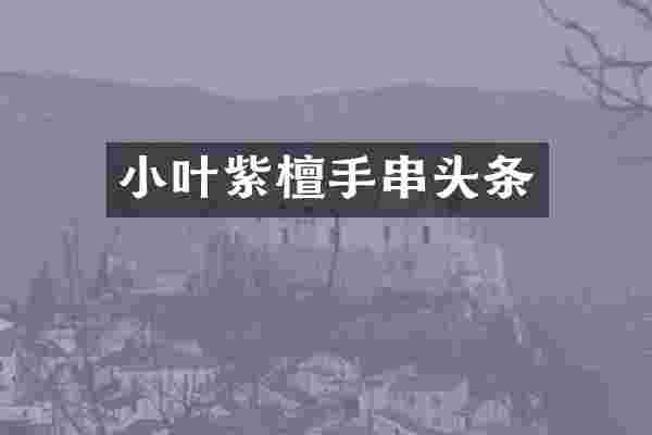 小叶紫檀手串头条