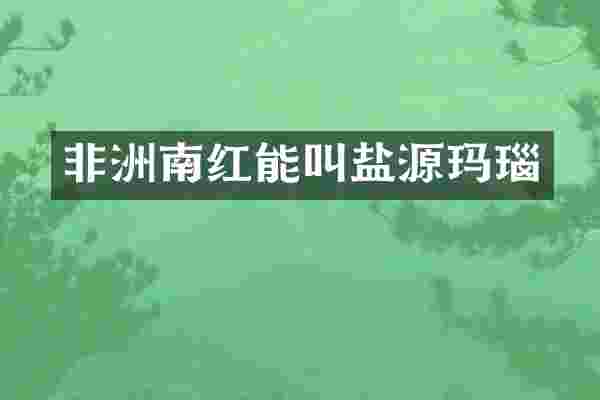 非洲南红能叫盐源玛瑙