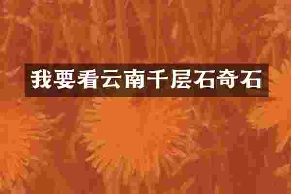 我要看云南千层石奇石