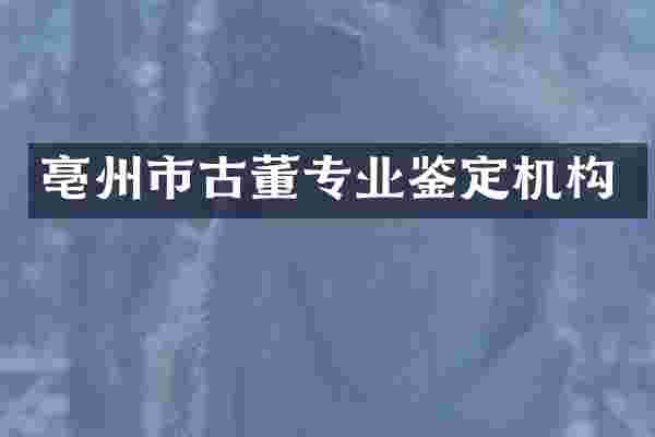 亳州市古董专业鉴定机构
