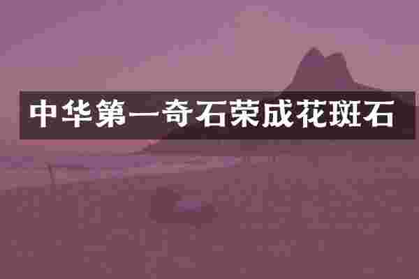 中华第一奇石荣成花斑石