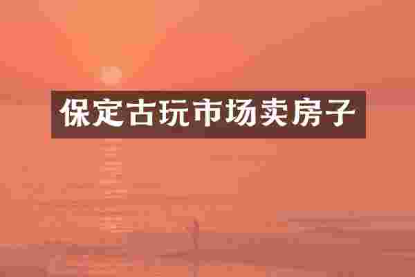 保定古玩市场卖房子