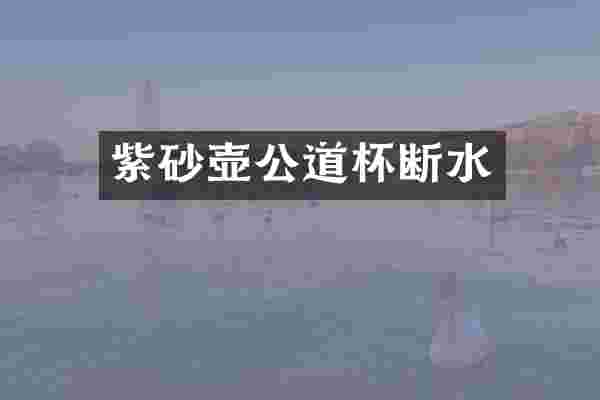 紫砂壶公道杯断水