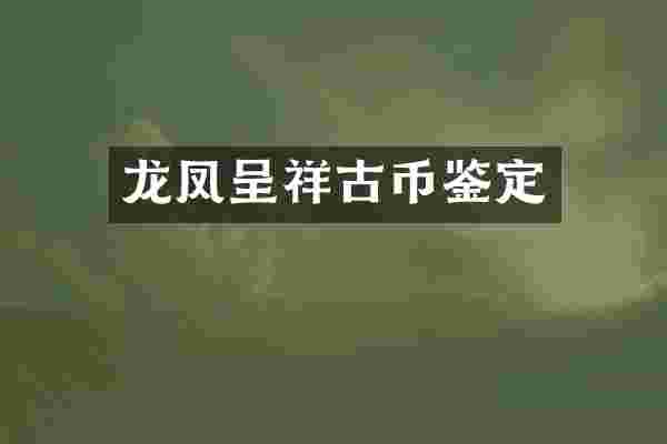 龙凤呈祥古币鉴定