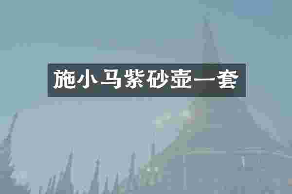 施小马紫砂壶一套