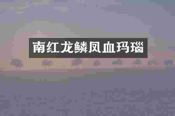 南红龙鳞凤血玛瑙