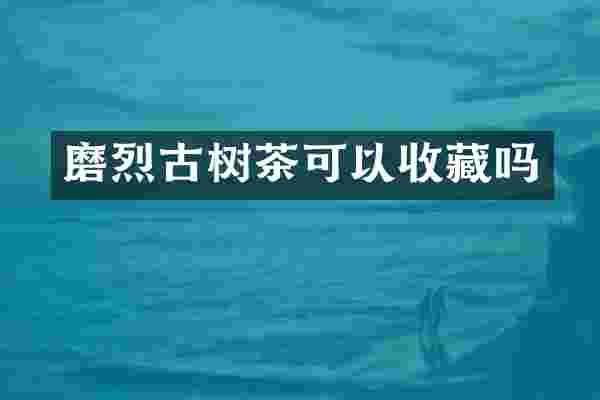 磨烈古树茶可以收藏吗