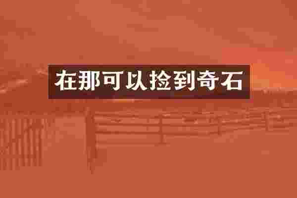 在那可以捡到奇石