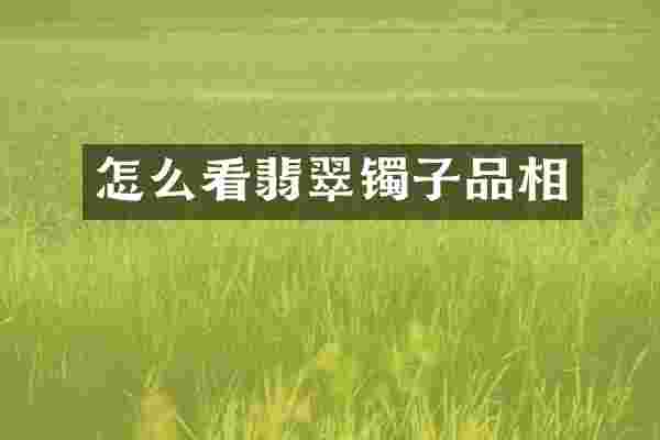 怎么看翡翠镯子品相