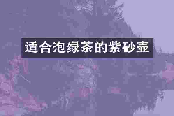 适合泡绿茶的紫砂壶
