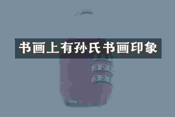 书画上有孙氏书画印象