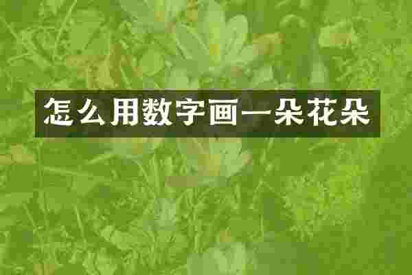 怎么用数字画一朵花朵