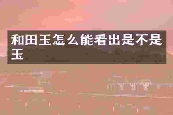 和田玉怎么能看出是不是玉