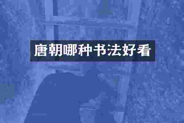 唐朝哪种书法好看