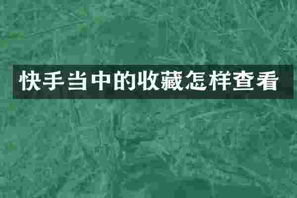 快手当中的收藏怎样查看